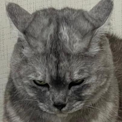 문장곤